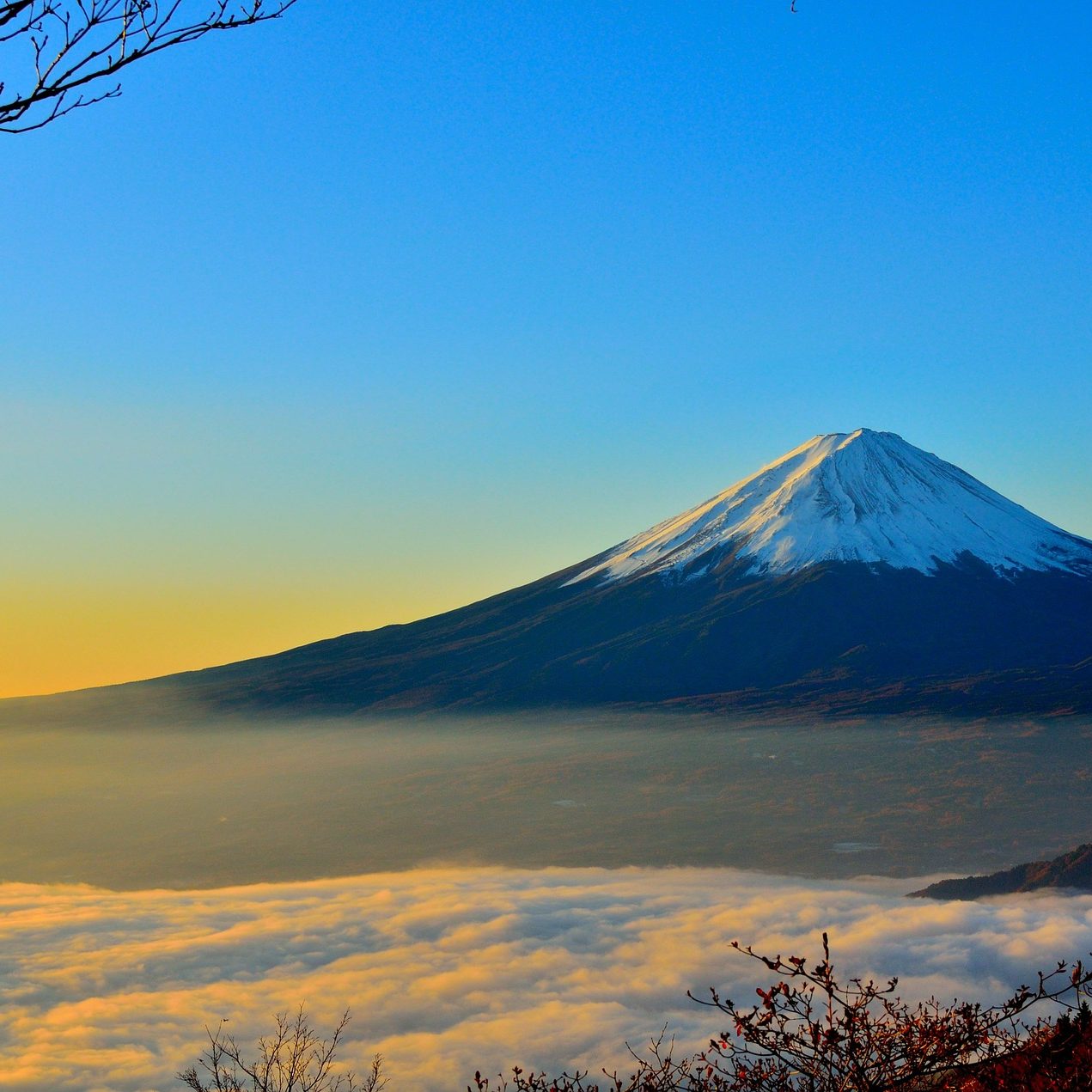 https://www.orientbeach.com/en/wp-content/uploads/bb-plugin/cache/mt-fuji-477832_1920-square.jpg